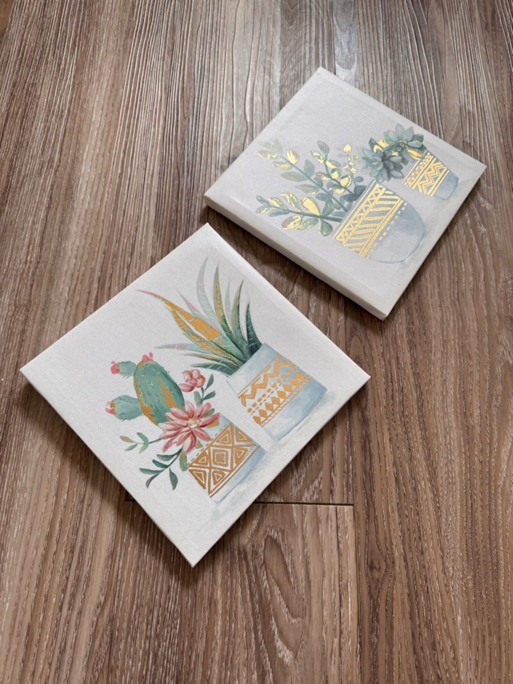 Succulent Plant Art Set - Picture 12 of 13